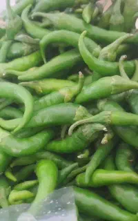 فلفل تند وشیرین