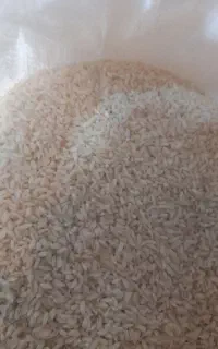 فروش برنج چمپای کلات درجه ۱