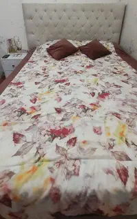 تخت خواب تمام چستر سالم و تر و  تمیز
