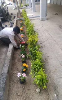 باغبانی وهرسکاری سرویس به کل تهران وحومه