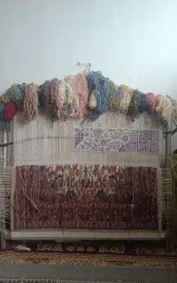 دار قالی
