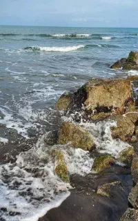 فروش تور سنگسری