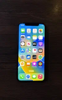 iPhone X 256