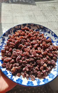 کشمش اعلا و خیلی تمیز