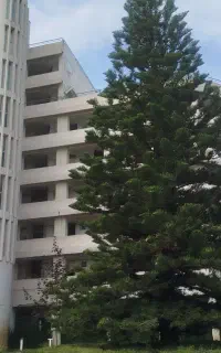 به سه نفر استاد کار گچکارماهر روز مزد احتیاج دارم