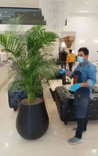 خدمات باغبانی باغچه کاری تعویض خاک گلدان کاشت گل و