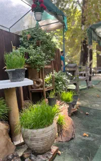 به تعدادی کارگر برای کار در باغ رستوران نیازمندیم