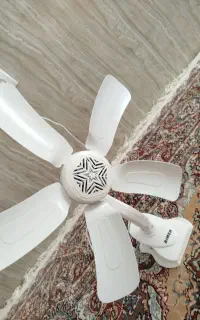 پنکه گیری تعداد محدود