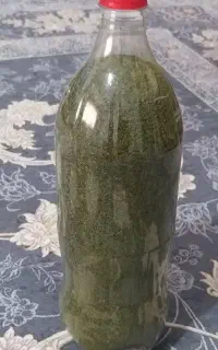 نعناع