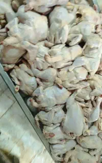 نیروی قطعه بندی و بیخصکار حرفه ای