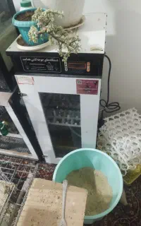 دستگاه جوجه کشی هدایت 210تایی (مصیری)