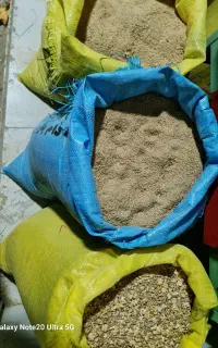 کنسانتره کنجاله و سوبوس تازه درجه یک قیمت تعاونی