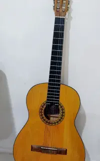 گیتار کلاسیک DM1