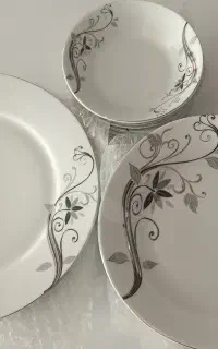 ظروف چینی
