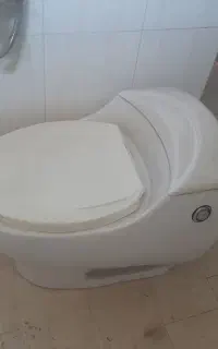 فرنگی