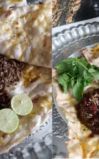 بریونی بیرون بر خانگی