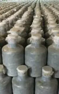 خیارشور شیروان ترد مرتب