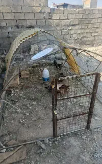 قفص پرنده
