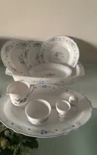 سرویس غذاخوری