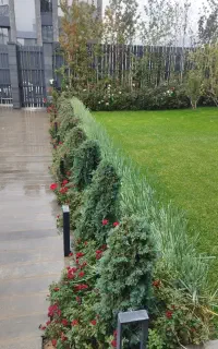 گلکاری و طراحی و اجرای فضای سبز گیلان و مازندران