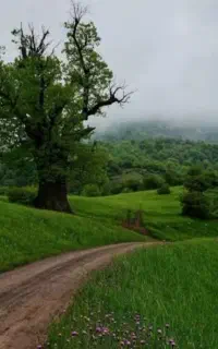 راهنمایی