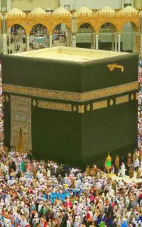 فیش حج واجب