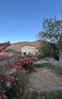 فروش باغ