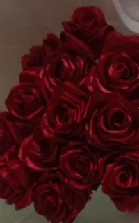 گل ربانی