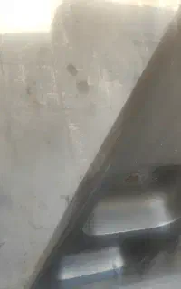 سینگ دوقلو درحدنو