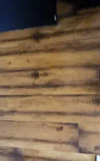 پارکت