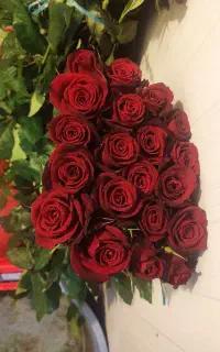 فروش گل رز در بسته های 20 عددی