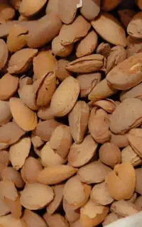 بادام درختی کاغذی تازه و خشک