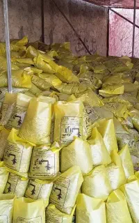 تولید خاک برگ آزالیا   خرید از شما کیفیت از ما