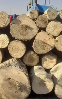 خرید چوب