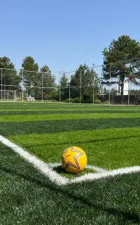 اجاره زمین چمن