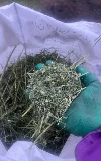 یونجه خرگوش بسته پنج کیلویی