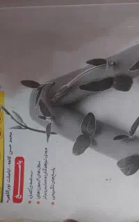 کتاب های تیزهوشان هشتم