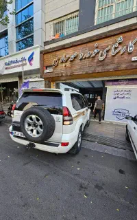 کارشناسی و تشخیص‌رنگ‌ خودرو عبادی