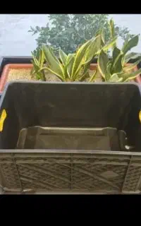 باسکت ماهی جعبه میگو سبد میگو سبدماهی سبدمیگو
