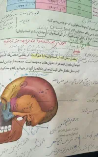 مشاور دانشجوپزشکی+تدریس کل دروس وانتخاب رشته تضمین