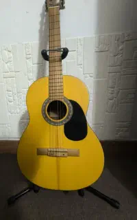 فروش گیتارآلمیرا