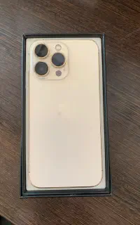 13pro