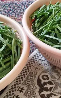 سبزی قورمه
