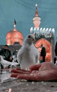 مشهد مقدس