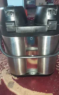 فلاکس دوقلو ژاپنی