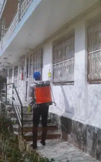 دفع تخصصی افات و سمپاشی