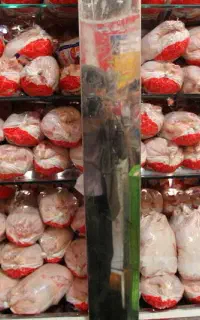 نیروی کار در مرغ فروشی خانم