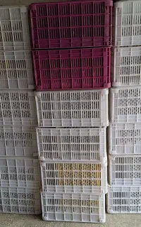 سبد پلاستیکی درجه ۱