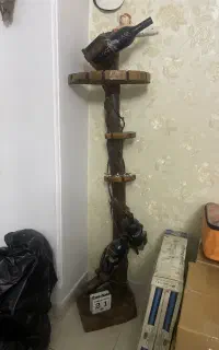 دکور،بار