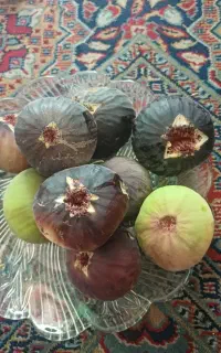 میوه بهشت تازه ونوبر انجیر سیاه وزرد